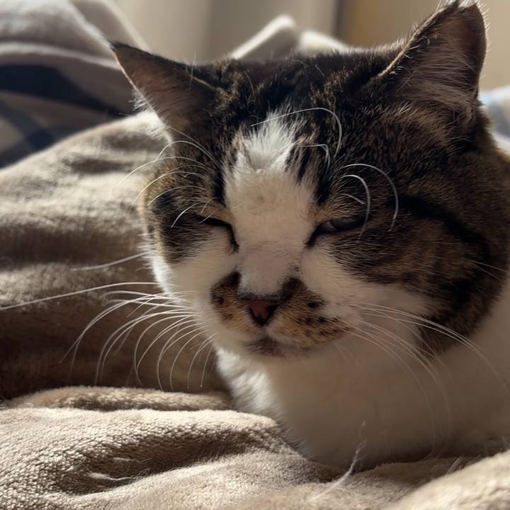 74ed68e2 52ee 4003 8288 ce7b65284b7e 1766809854090