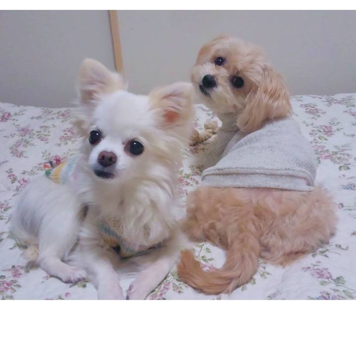 74ed8ed3 4da0 4ea2 91dd 507d3903d277 1643434417025