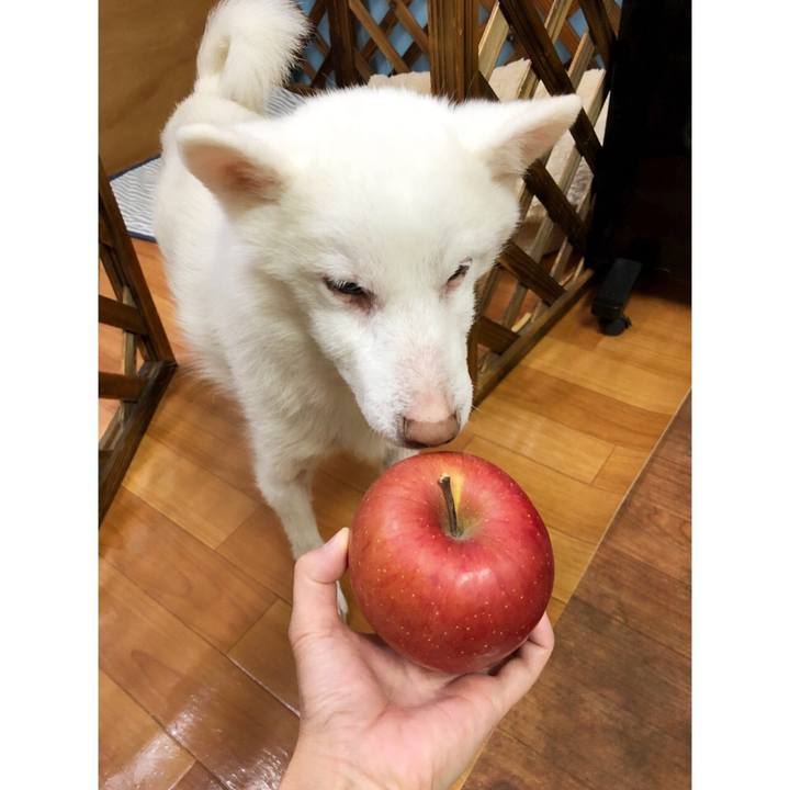 74edc0c5 d42d 4e06 a18f 0c0cb16bb2ee 1576501118440