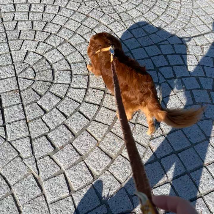 74eddc6d 6a06 4837 b766 9583c7f49ef0 1665879235584