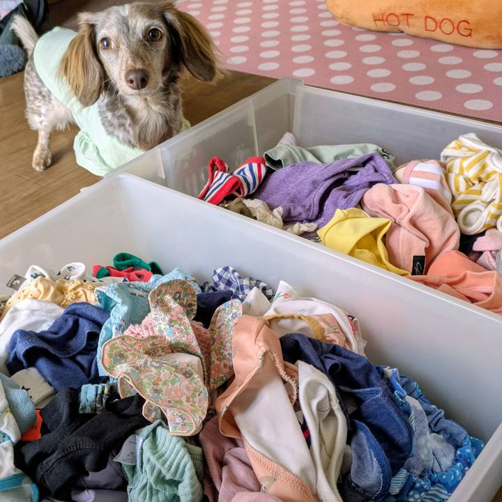 74edeaee 860b 43c1 aad2 99ba5bd5abfd 1761002489037