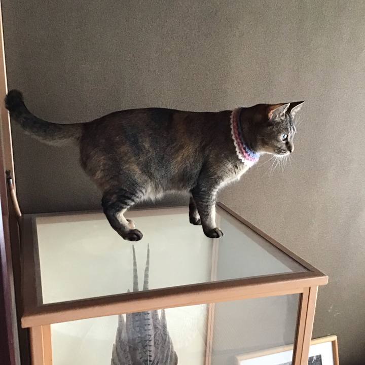 74ee24f2 1e1a 461c 9775 cab58ccee57d 1620685520309