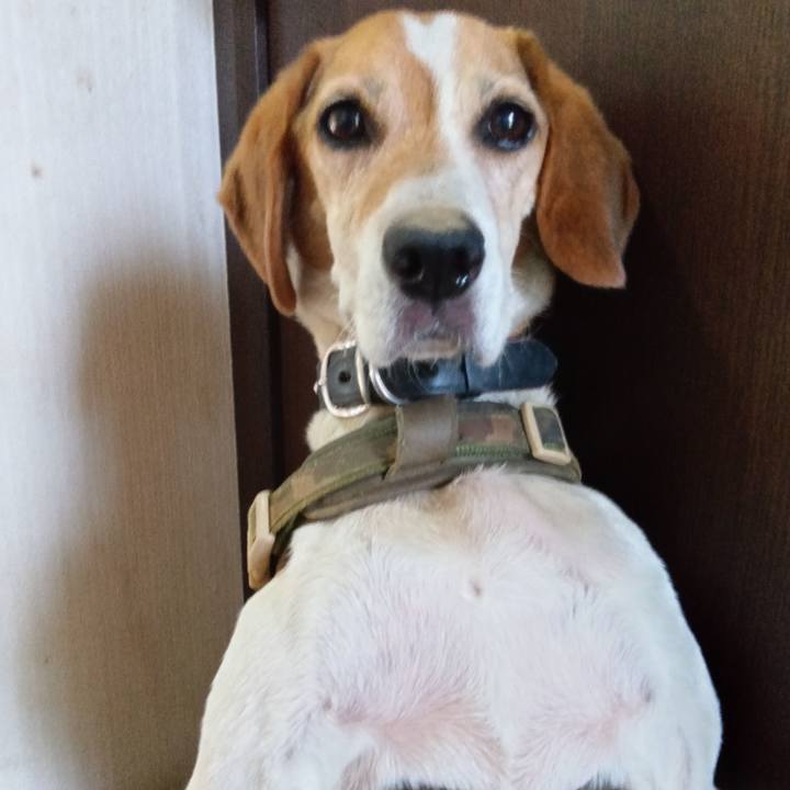 74ee727d 7c5c 481b 9e2b f97d309e1b83 1721992992704