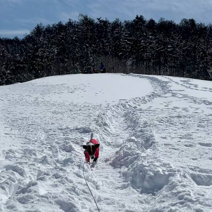 74ee7dbc aa14 49fa 950a 00490e093f54 1645939371059