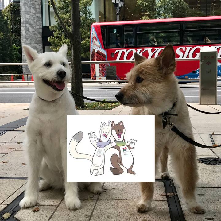 74ee9db5 9d20 4326 b118 39083a4b9fe6 1770442714618