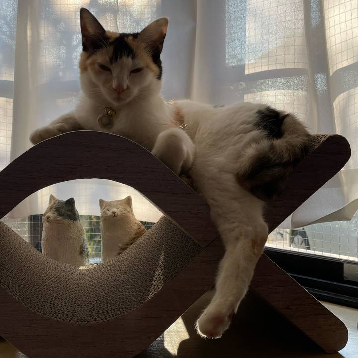 74eeaccc eb67 4020 803a 9f99282c99ac 1673566512116