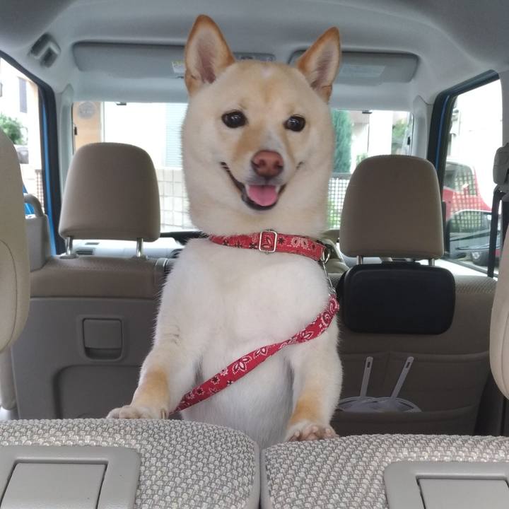 74eec169 141f 44e7 a4df ef70bebc013f 1526209388609