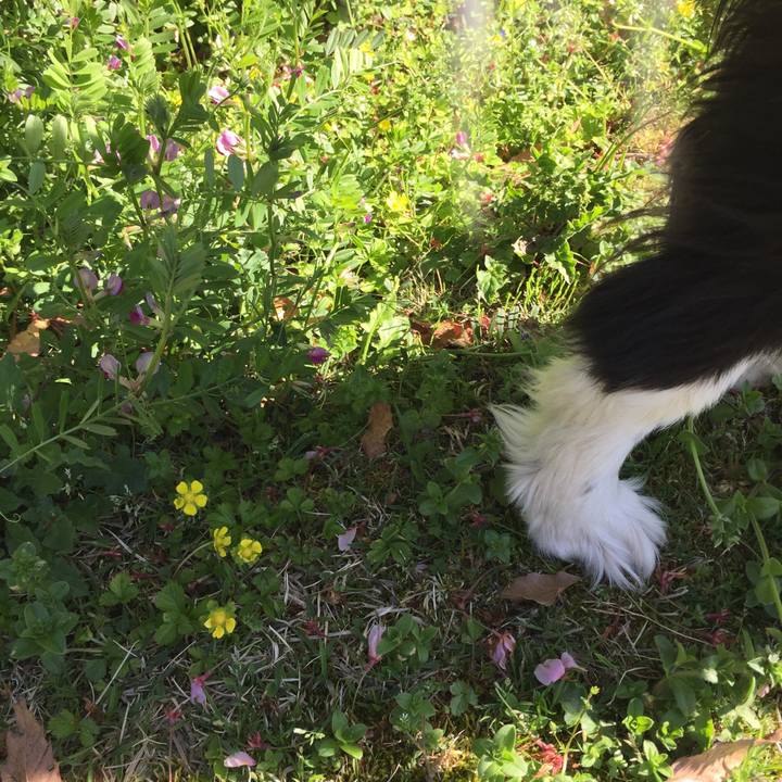 74eef45e ccaa 4b84 b281 7c37d3202e92 1555320024414