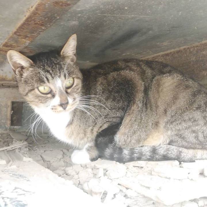 74ef0261 0c67 405b a908 5876232b6eca 1575955250250