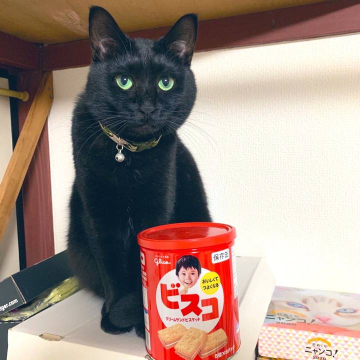 74ef3623 f5c6 4ad9 baa6 5900b9e40040 1576938829778