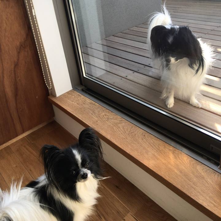 74ef5987 f870 4ade 86bd 825924155441 1549073068493