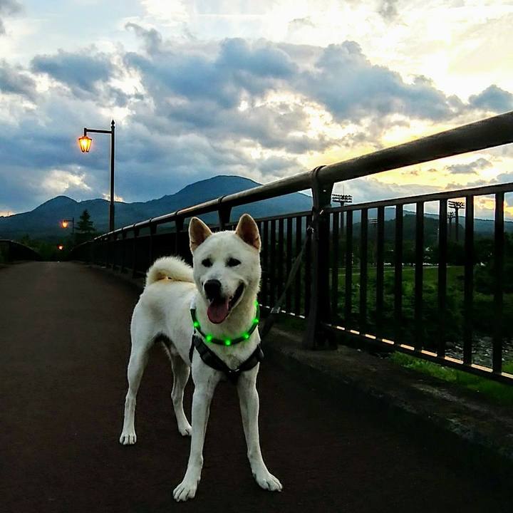 74ef7ebd 9894 4053 a085 e66e089153f3 1532089576651