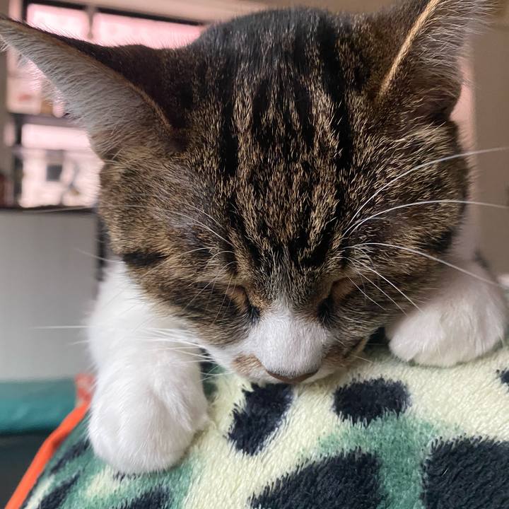 74ef8a57 2f47 4b4e 997f 04de61f27482 1586045767228