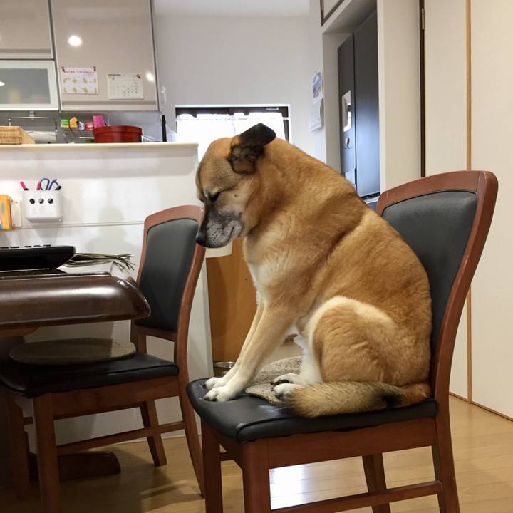 74efe16f e85f 4232 9db0 2e8ce5430a83 1519516894426