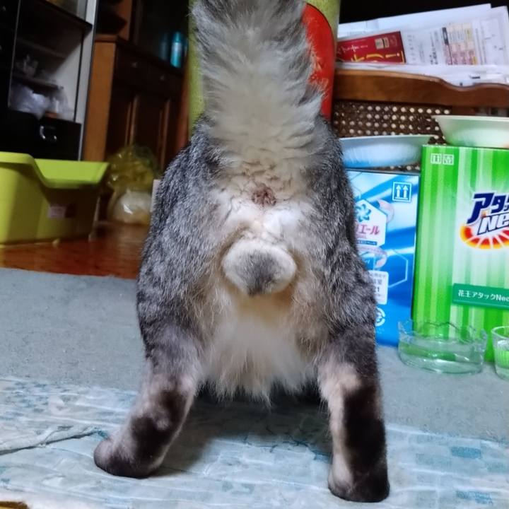 74f0373d b805 4624 a063 669ad131c0e3 1602166558439