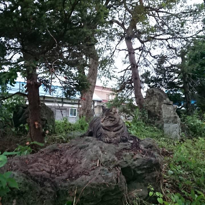 74f04f89 e95f 4b92 aa65 49abf887d69f 1657621496537