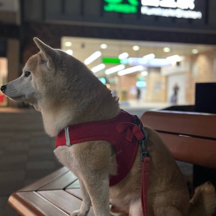 74f07ba0 94fd 4135 993a 7a1f4ad36e98 1738102558972