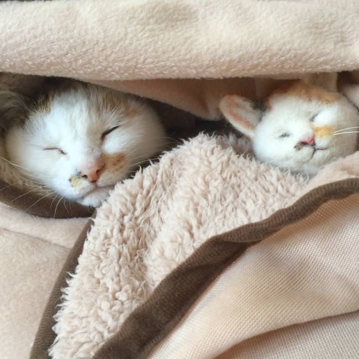 74f09b14 64be 45bf a5f1 64a6f444a608 1545276587246