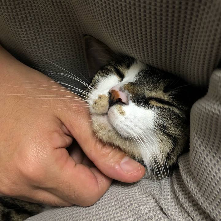 74f0df6b d9f6 4d4a 91e4 a0a8f2a2aeb7 1557715401148