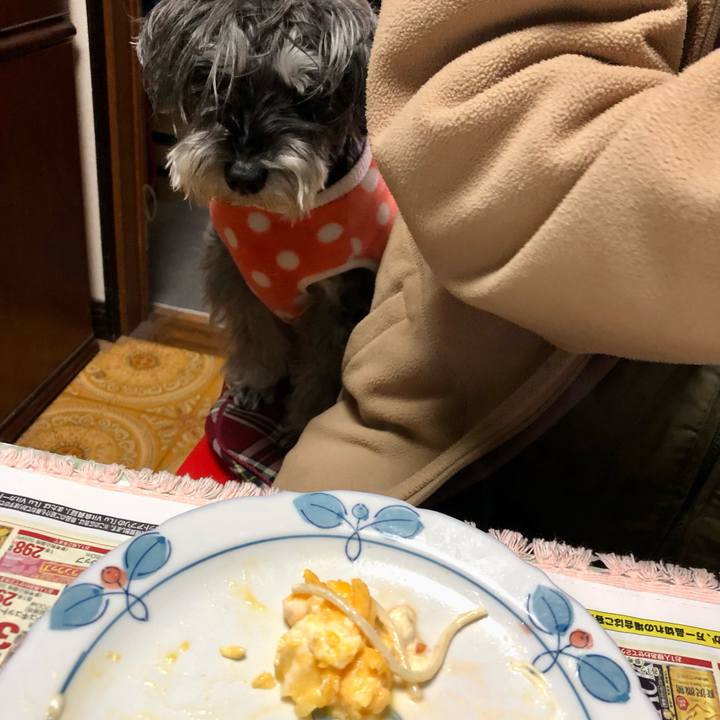 74f0e70c 07f4 456d a98c 3706837d791e 1702782949716