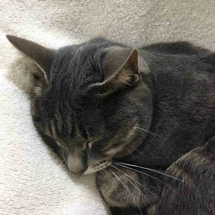 74f0f9ea d924 4011 a726 171cd498a337 1556627876827