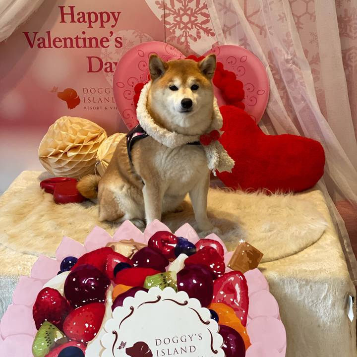 74f11302 9f50 4e93 b938 083a4ddbd3fe 1644840936557