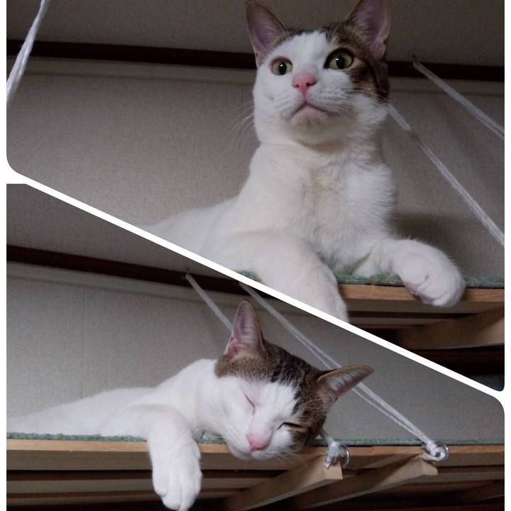 74f15067 70be 4080 b945 9c20de076086 1671884586099