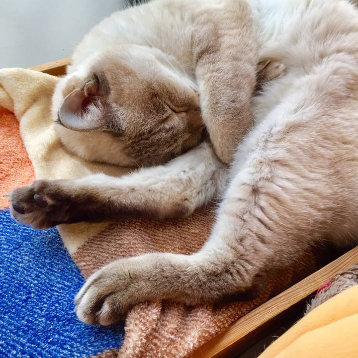 74f15bb0 c36e 4ba5 b3e2 381577fe95f0 1573093235155