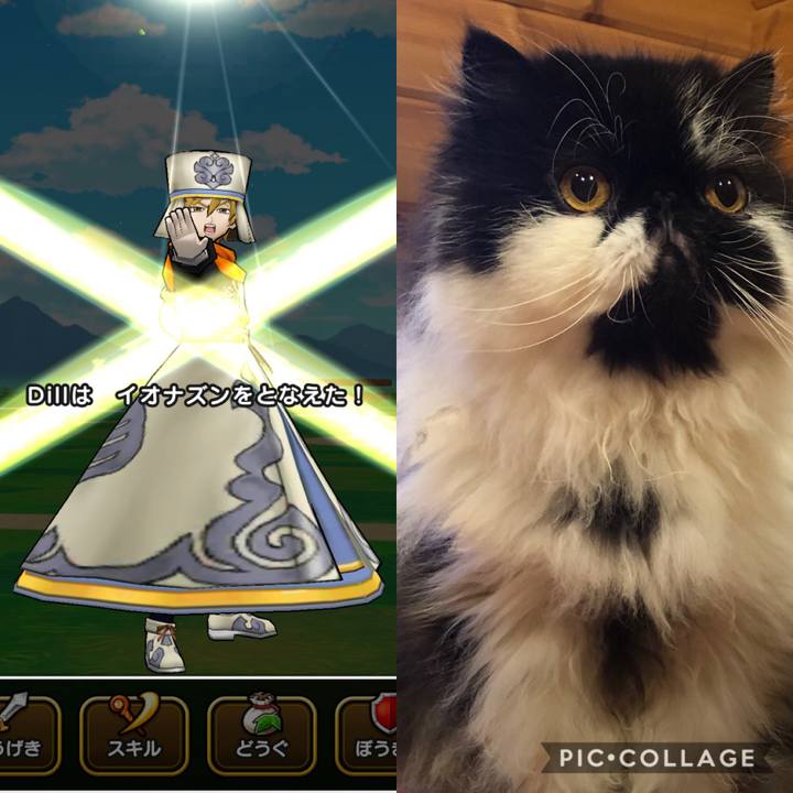 74f161a1 bd46 42ec b0b5 0d98adf3aeb3 1588392767891