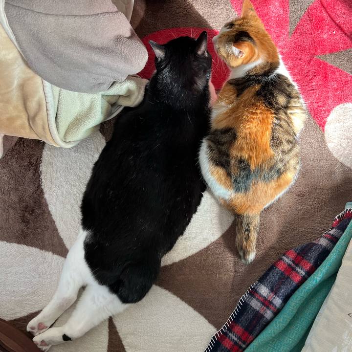 74f17d76 649d 45df add4 908e2208b920 1774305151494