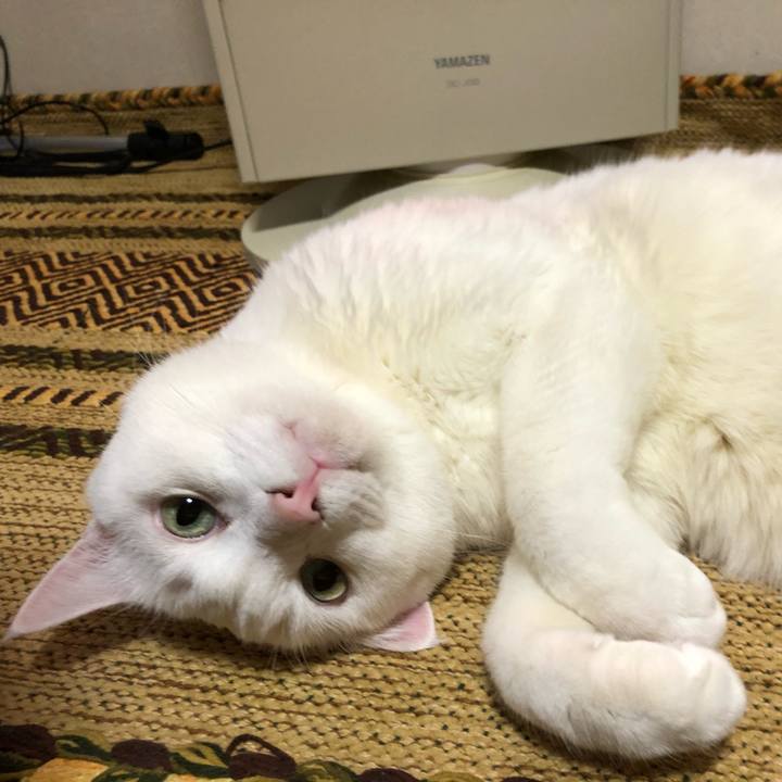 74f199c9 0e0e 47b4 80f0 6ecdd9749e3d 1602986680307