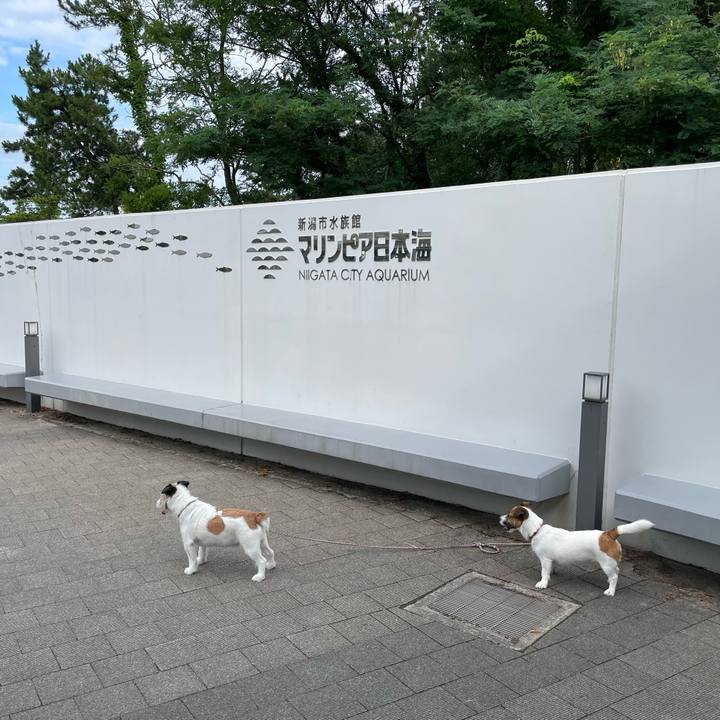 74f1fe10 2c5a 4f11 8c60 ac2ba061db0b 1689461330007