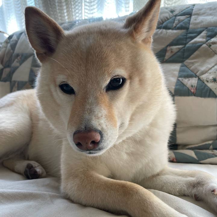 74f1ff4e b179 4a59 878c 11436a917e44 1715994616634