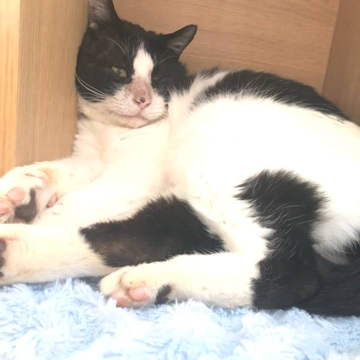 74f21322 afc3 423e a090 906b5f4955c1 1618068754263