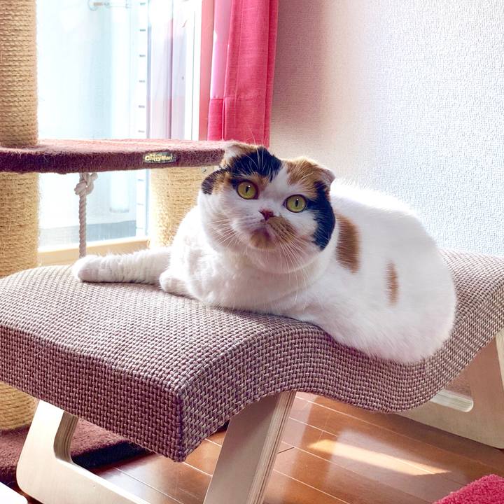 74f23101 ef04 4865 8797 f8b303ddf78b 1569448651989