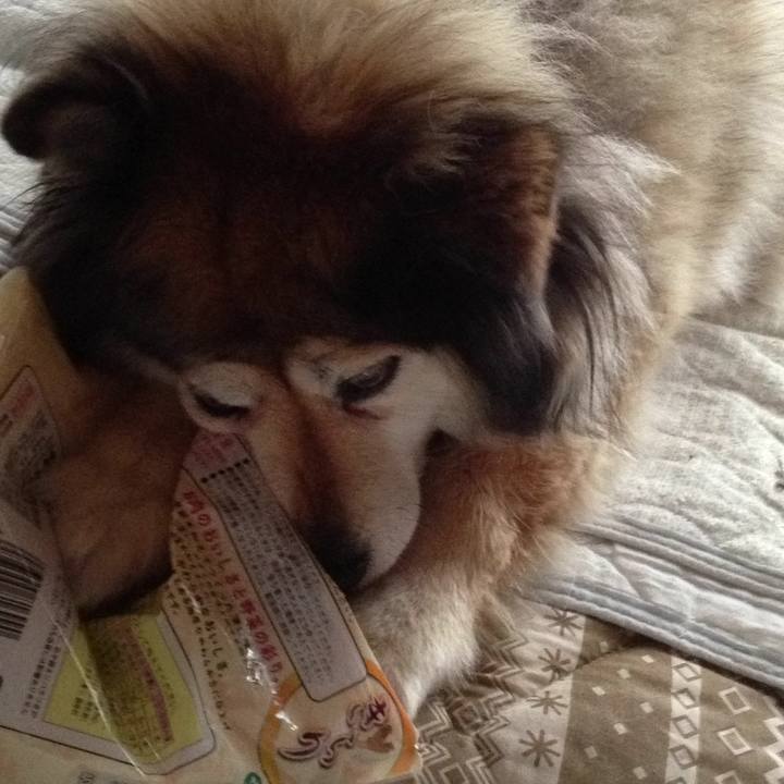 74f23c29 68b2 40e6 9ed2 a9b3a221f1cd 1565910312368