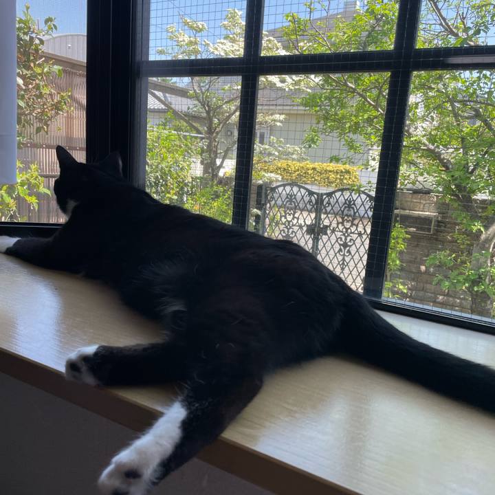 74f24541 ab8c 4624 a169 29a89ddb9c6e 1650859674025