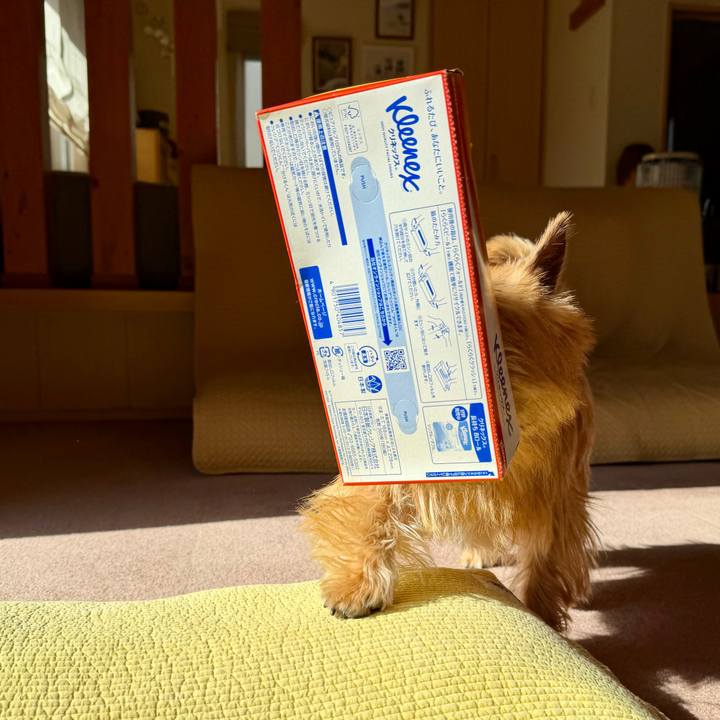 74f24753 7648 4cd1 8f47 e32db859b17b 1768987407459