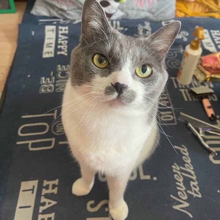 74f2897a d9a5 4efd 8cb3 3f640fca443a 1748743522714