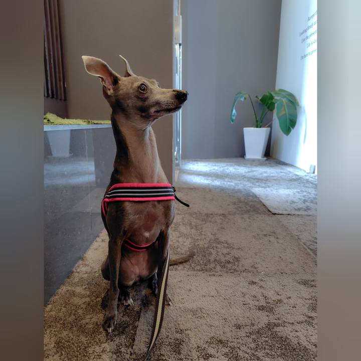 74f2a853 9a2a 4187 be1d 58d206899270 1759826929111