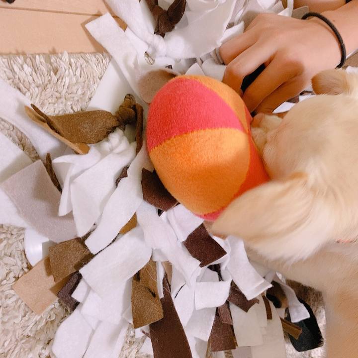 74f2a9a7 474a 478d bff3 f9b93f1fc19a 1629030931852