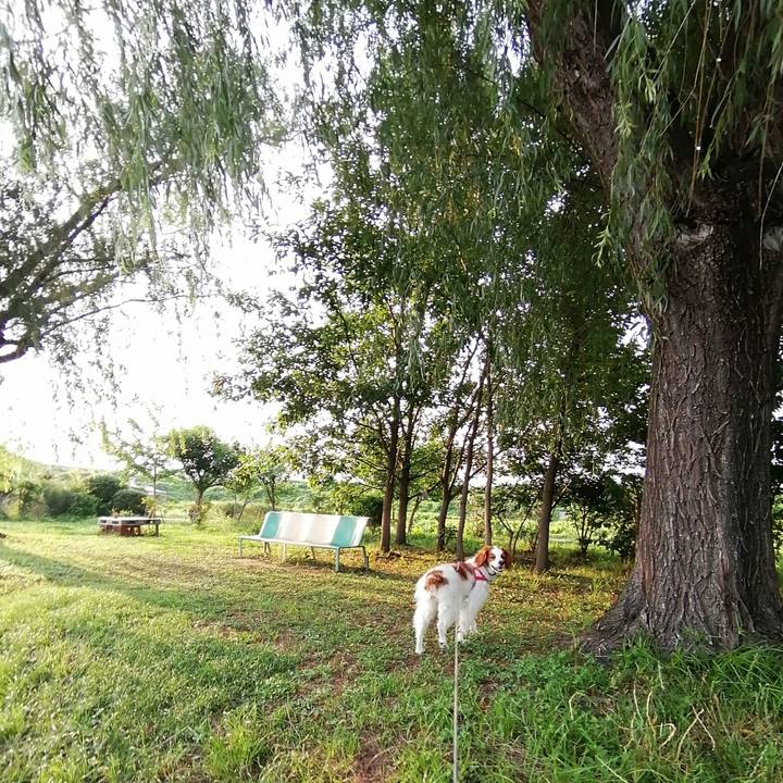 74f2b146 59b3 4cdc 96ff 4dfa0e828a3d 1593604074648