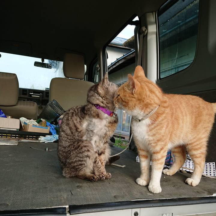 74f2bde2 d0d5 4bb4 a185 cd6d0623cd8e 1593029725407