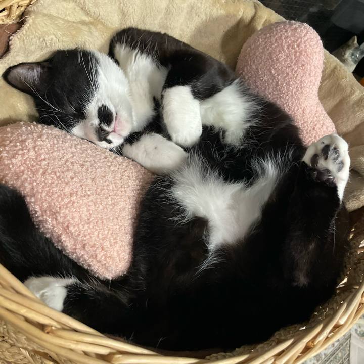 74f2d54c 69fd 4fe0 bc98 6cfe4127e476 1707814623861