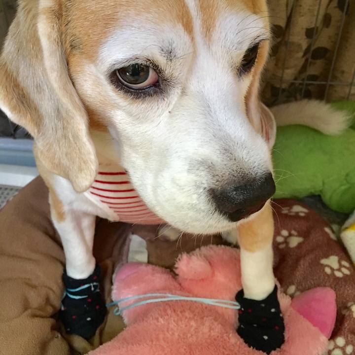 74f2ffb7 321f 428f 83af f8cf440da3dd 1540094774044