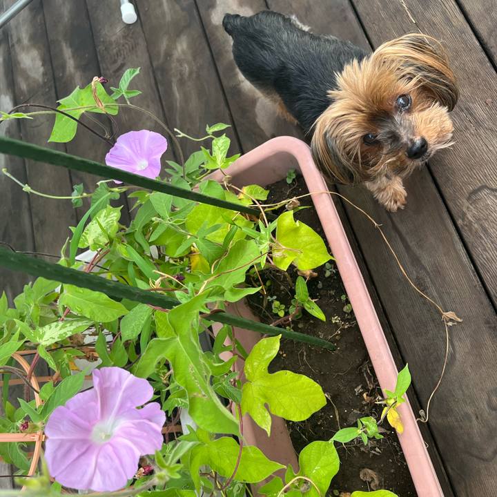 74f32675 15e5 4331 803f c96ac0b37443 1722466904837