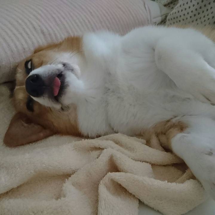 74f333a8 a5f5 4d3b 94b1 db0663c01df1 1532435036235