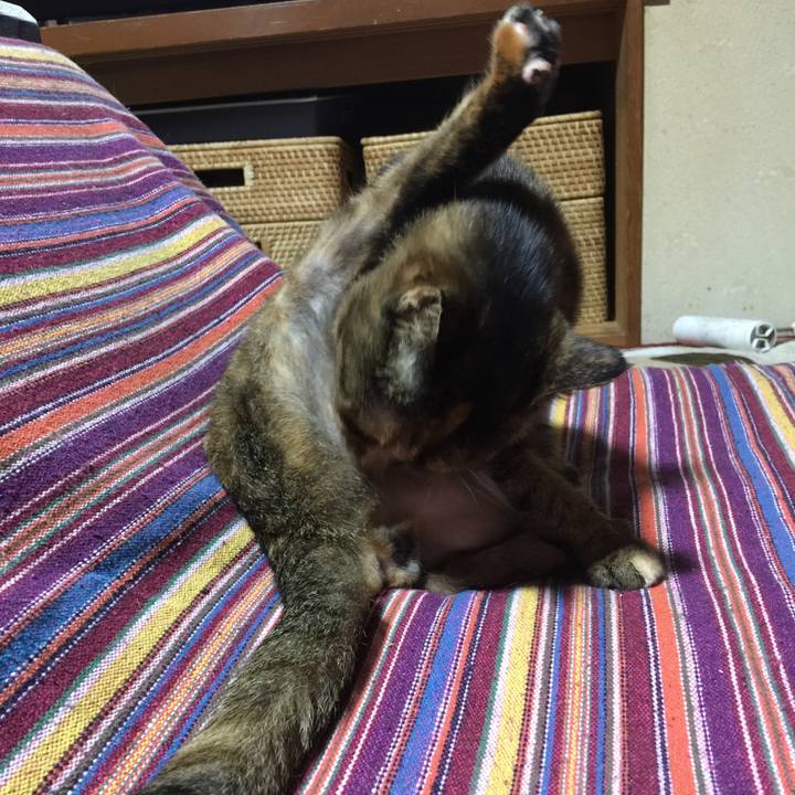 74f3684c 8464 43b4 8c6a abf1829f45a6 1582621818597