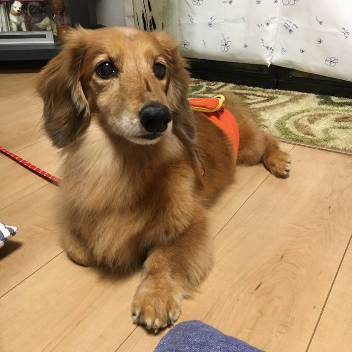 74f38ca4 5577 43e4 a37c 1ebeaffd12b7 1632059458687