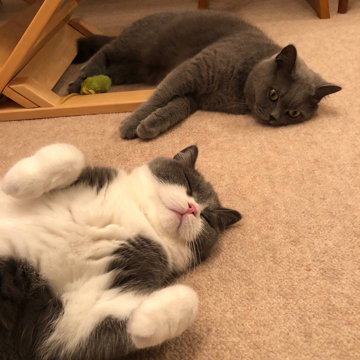 74f4570d a05a 431c a963 43684b9ce5b4 1542460585963